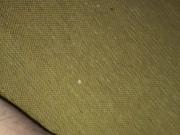 Split ball busting this morning 090819