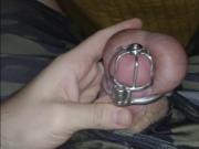 Permanent Chastity - Cumming under the blanket