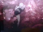 Cum on Shakira She Wolf video