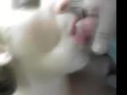 ex girlfriend sucking my cock taking the cum shot in mouth