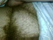 big hairy bush.