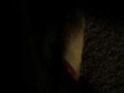 Bbw sub wife toying her pussy with dildo