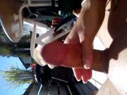 Playing in the sun 1