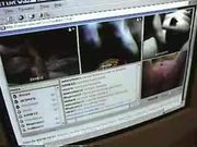 Dixie Watching Cocks Cum on Cam 12 