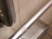public restroom bust