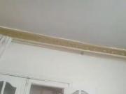 Masrya