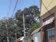 Gostosa