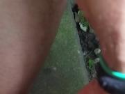 Pisse im Garten