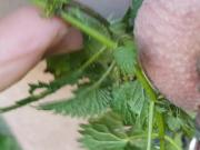German cuck gets to watch and learn,wife breeding bareback