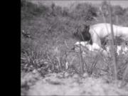 EJACULATIONS ON MY HINDS