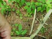 Hot Atlanta Raging Slut