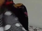 Arab fucks