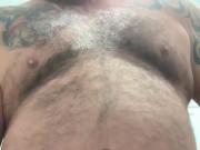 Bald Bear Relief