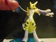 Renamon Slomo