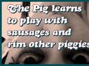 The pig learns to play with sausages and rim other piggies