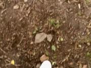 showing off my penis and piss pee in the woods