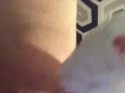 Busty girlfriend we