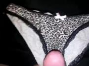 Wife's Panties
