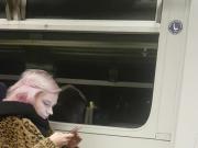 Candid in tights on the train