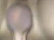 Asian gf takes white dick from behind