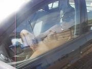 naked wank in public