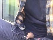 Sitting piss
