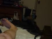 More Cum!