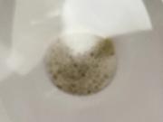 Piss