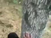 Cum Video 2