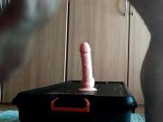 Pig fucks itself - Schwein fickt sich