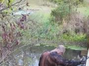 Peat Bog 2.mp4
