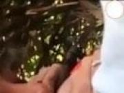 Outdoor blowjob sex clip mms