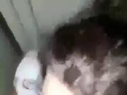 Sex iraq 2020