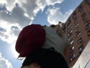upshorts