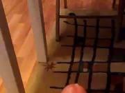 me cumming