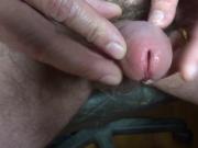 showing my hairy penis, my foreskin, my glans and my peehole