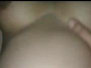 Plana 61
