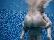 swam in the pool