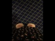 fluffy2