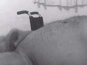 The Rolly muito afim