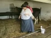 Fat Cowgirl Fucked