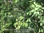 Busty eastern-europe girl gets fucked outdoors - SUBTITLED!