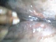 Shy Squirt