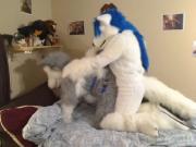 fursuit 2