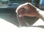 Nutting In the Morning Sun