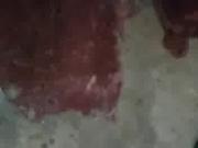 Roludo gozando