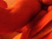 CATRIN 3