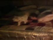 Fathers Day comes early