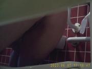 Toilet hidden cam - toilet piss