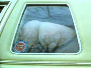 Slut in car moons older couple through window!